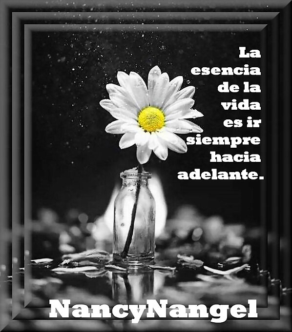 Pensamientos Positivos