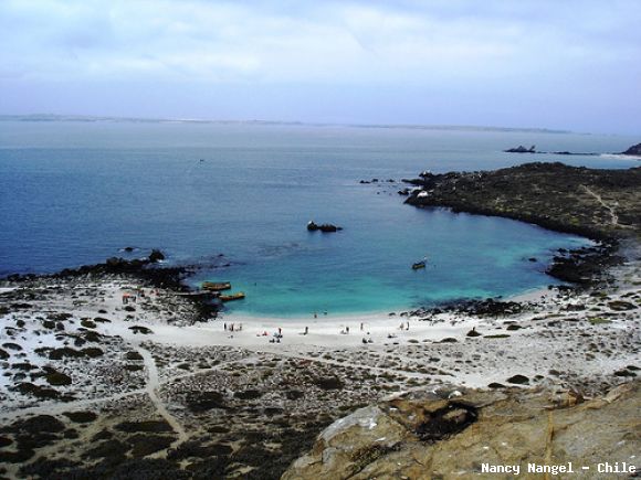 Isla Damas - Playa    (Chile)