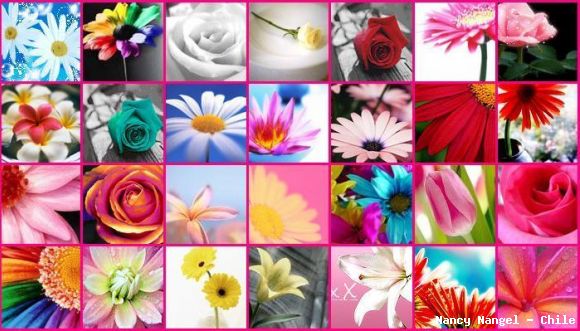 "FELIZ PRIMAVERA"