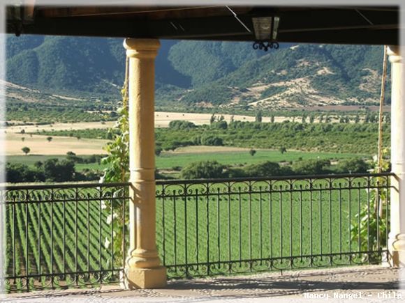 Valle de Colchagua (Chile)