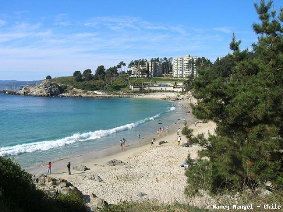 Playa el Canelo (Chile)