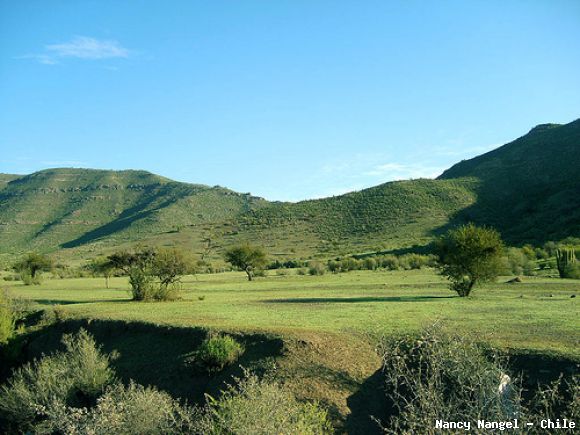 Serranía de Rinconada de Silva  (Chile)