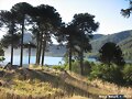 Laguna Quillelhue
