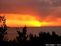 Caleta  Arena   (Chile)