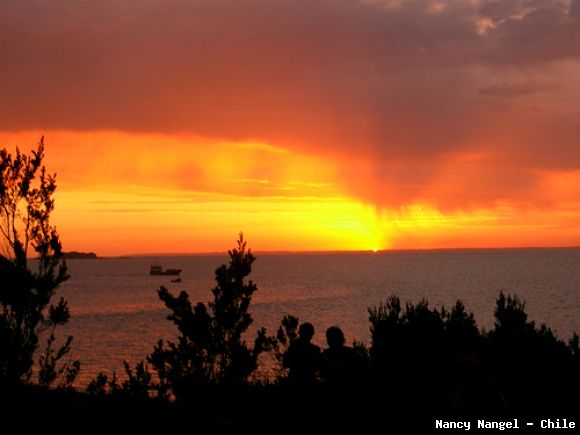 Caleta  Arena   (Chile)