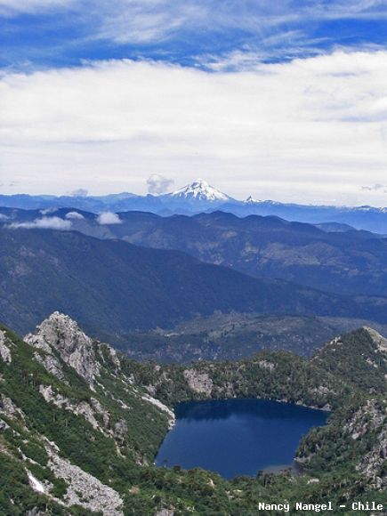 Laguna San Manuel (Chile)