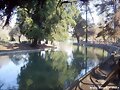 Laguna del Parque Ohiggins  (Chile)