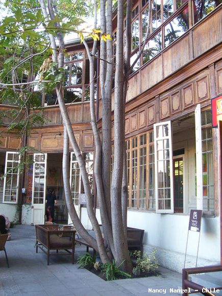 Patio en el interior de una casa antigua   (Chile)