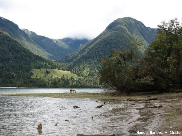 Lago Rosselot   (Chile)
