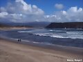 Pinguinera (Chile)