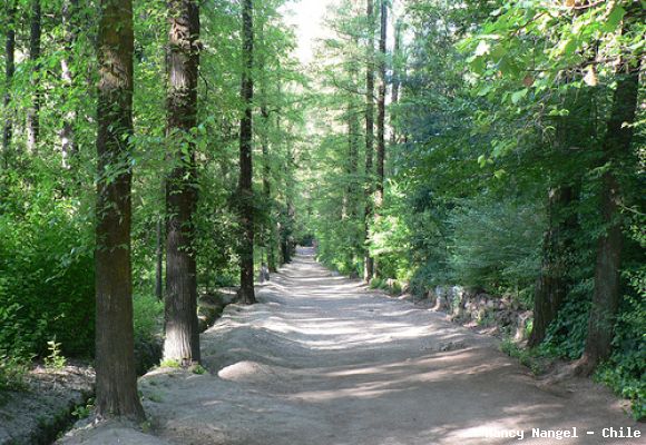 Termas de Cauquenes (Chile)