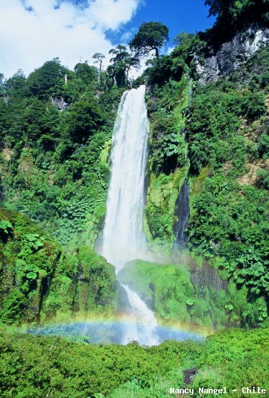Salto del León (Chile)