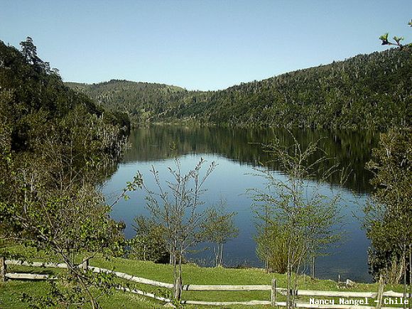 Lago Tinquilco   (Chile)
