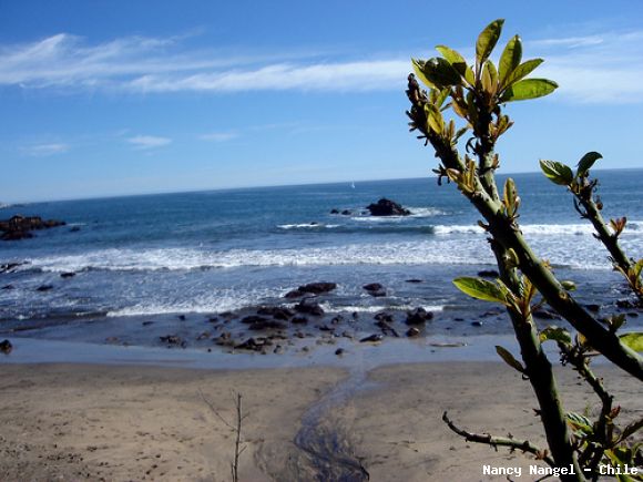 Playa de Concon (Chile)