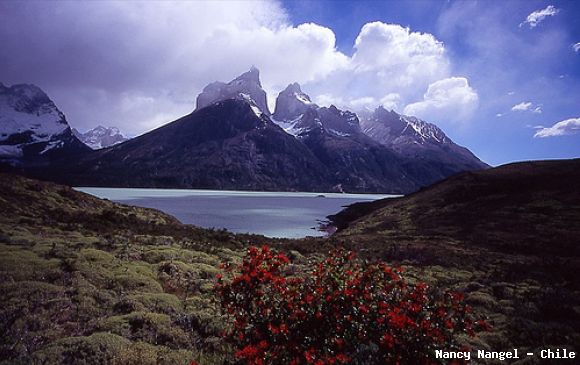 Torres del Paine   (Chile)