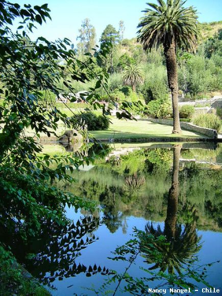 Jardín Botanico de Viña del Mar