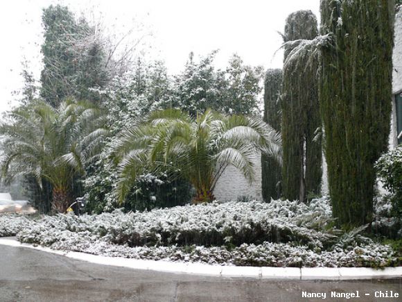 Santiago Nevado