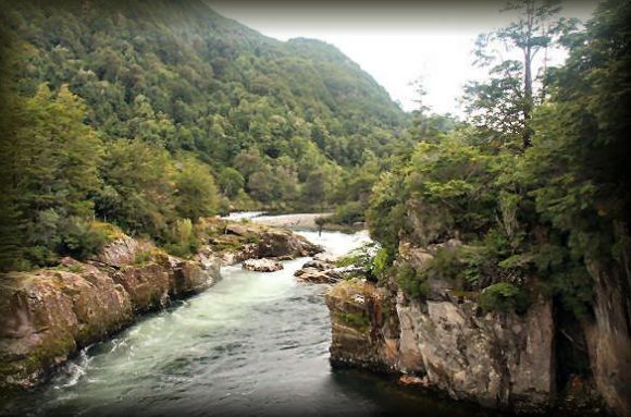 Parque Nacional Queulat   Chile