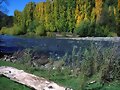 R&iacute;o Bio Bio (Chile)