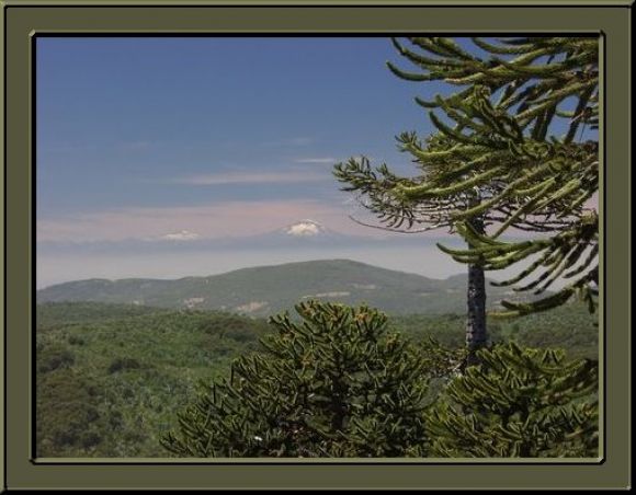 Parque Nacional Nahuelbuta  (Chile)