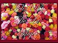***Feliz D&iacute;a de La Mujer hoy y siempre***