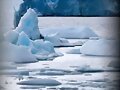 Glaciar Grey    (Chile)