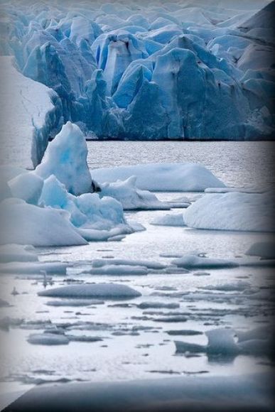Glaciar Grey    (Chile)