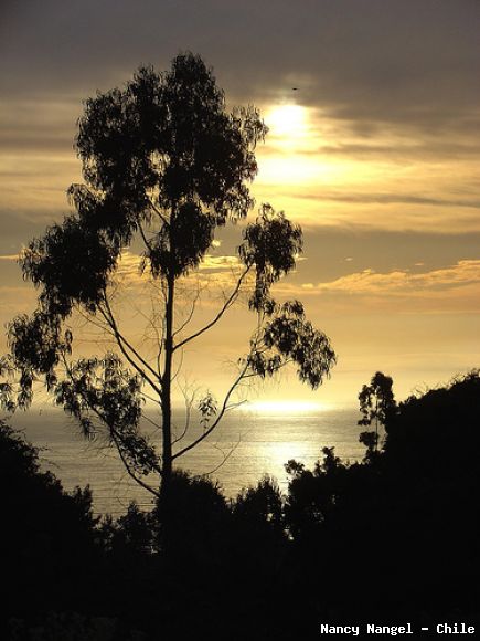 Atardecer