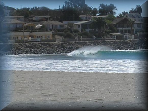 Tongoy  (Chile)