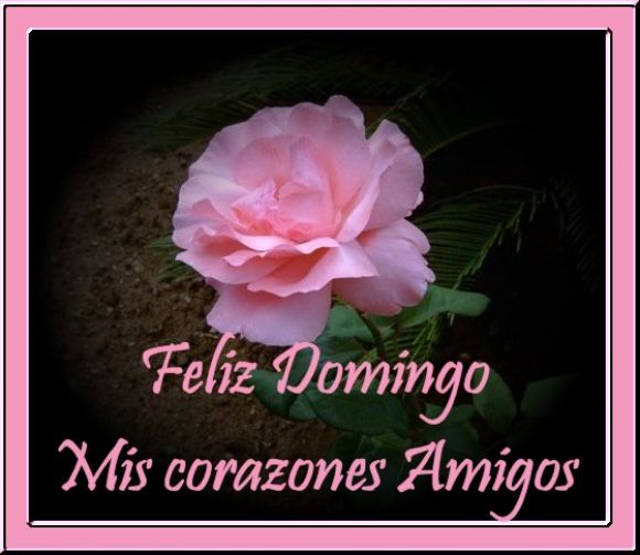 ***Feliz Domingo Mis Corazones Amigos***