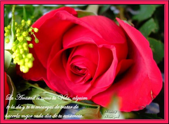 ***Feliz Semana Mis Corazones Amigos***