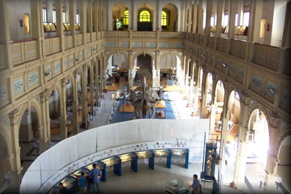 Museo de Ciencias - Quinta Normal   (Chile)