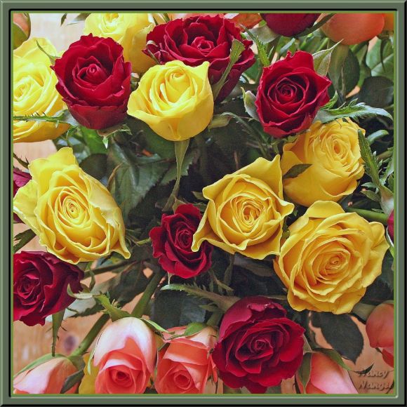****Feliz Semana Mis Corazones Amigos***