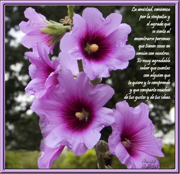 ***Feliz Semana Mis Corazones Amigos***