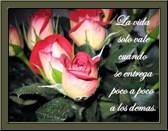 ***Feliz Sábado mis corazones amigos***