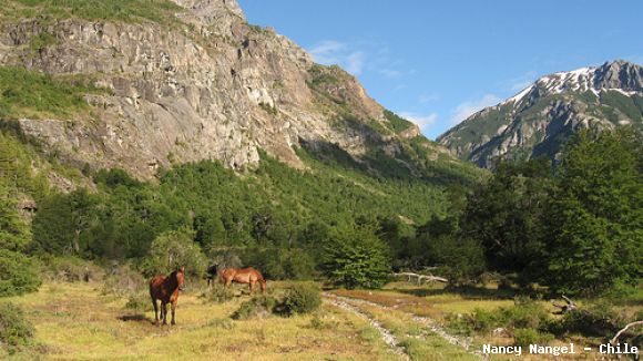 Valle Los Peucos Reserva Nacional Ñuble
