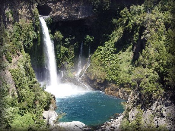 Reserva Nacional Radal  Siete Tazas   (Chile)
