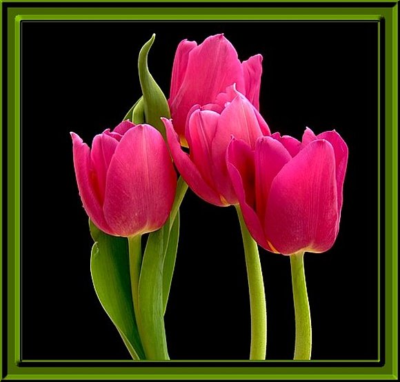 *Les deseo una Feliz Semana Mis Corazones Amigos*