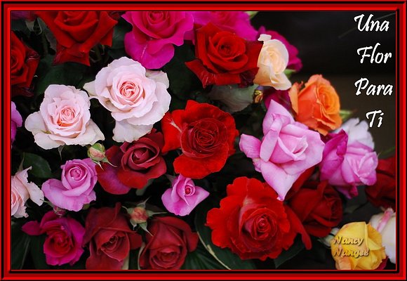 ***Una Flor para mis Corazones Amigos***