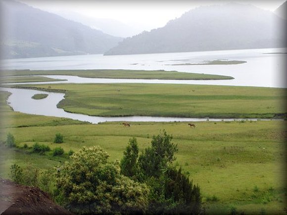 Seno de Reloncaví   (Chile)
