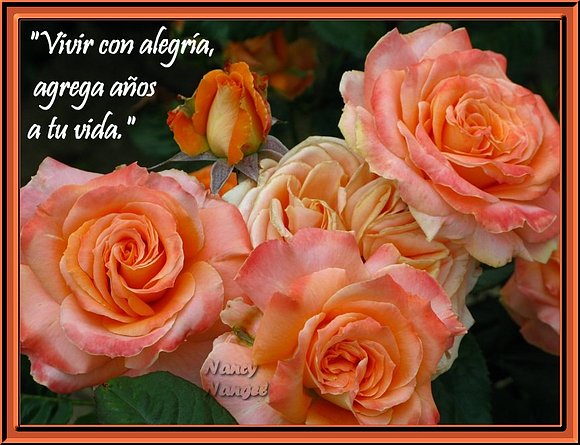 ***Feliz Semana mis Corazones Amigos***