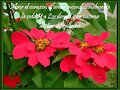 ***Feliz Fin de Semana mis Corazones Amig@s***