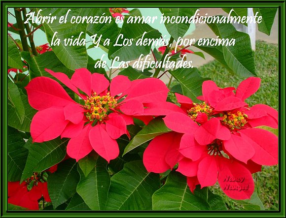 ***Feliz Fin de Semana mis Corazones Amig@s***