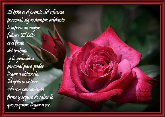 ***Feliz Semana Mis Corazones Amig@s***
