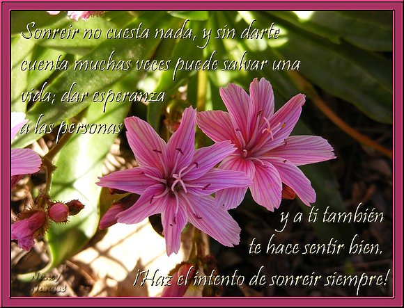 ***Feliz Fin de Semana Mis Corazones Amig@s***