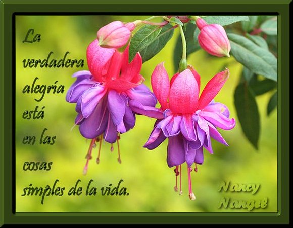 ***Feliz Domingo Mis corazones Amig@s***