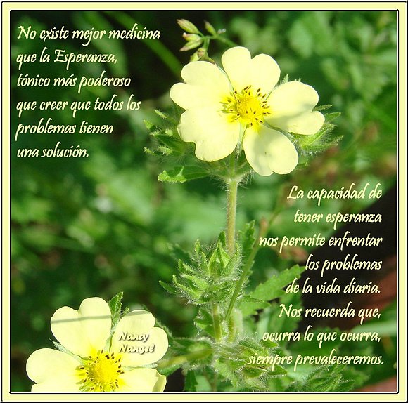***Feliz Semana Mis Corazones Amig@s***