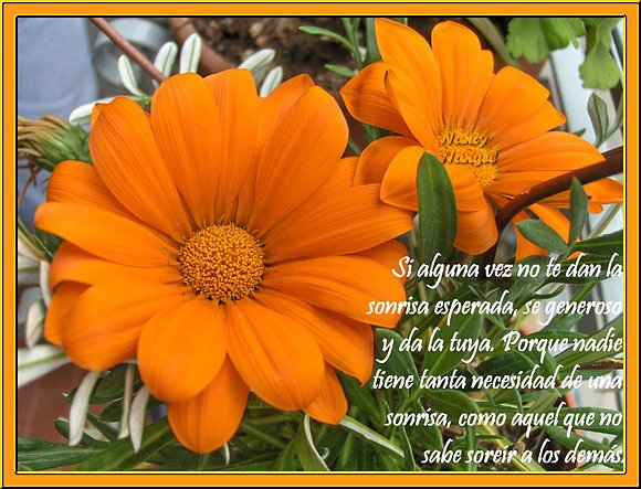 ***Feliz Fin de Semana Mis Corazones Amig@s***
