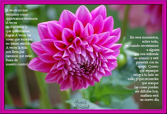 ***Feliz Semana Mis corazones Amig@s***