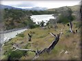 Parque Nacional Torres del Paine  (Chile)